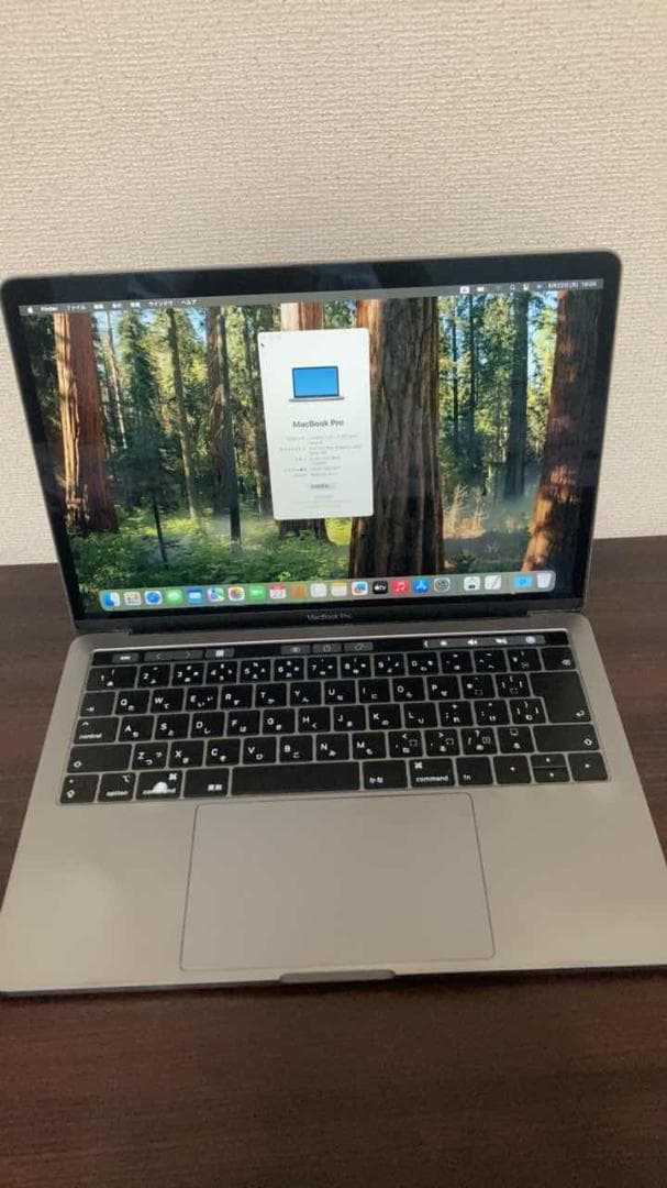 Apple Macbooks Macbook Pro 2018 I5/8Gb/512Gb Sequoia