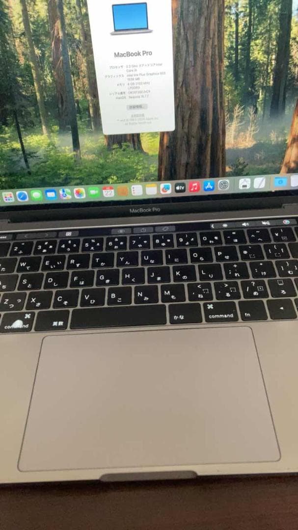 Apple Macbooks Macbook Pro 2018 I5/8Gb/512Gb Sequoia