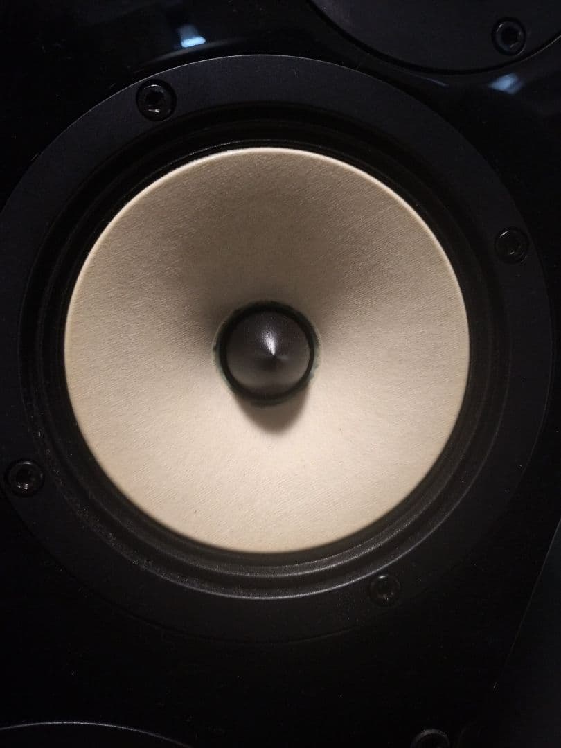 Onkyo Speaker D-509E