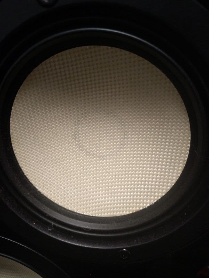 Onkyo Speaker D-509E