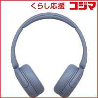 Sony Others /Bluetooth Wh-Ch520 Lz
