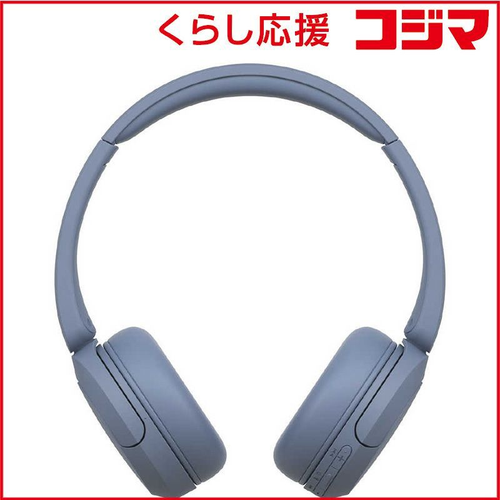Sony Others /Bluetooth Wh-Ch520 Lz