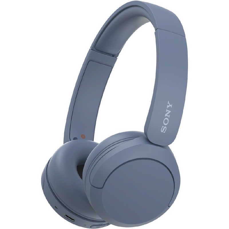 Sony Others /Bluetooth Wh-Ch520 Lz