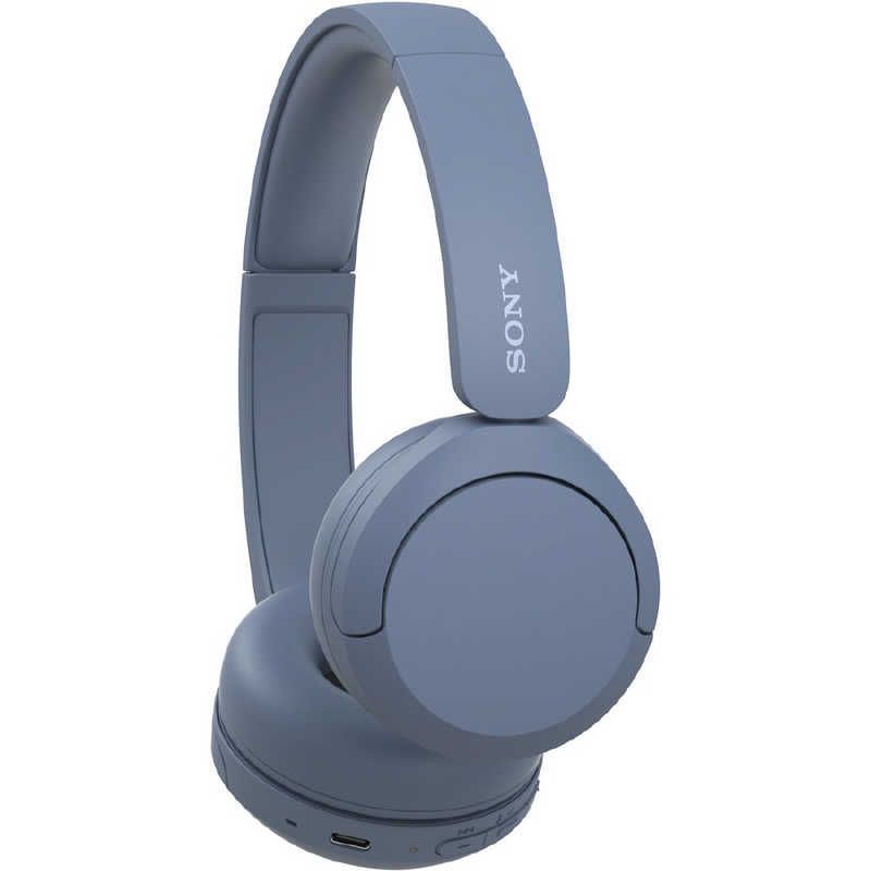Sony Others /Bluetooth Wh-Ch520 Lz