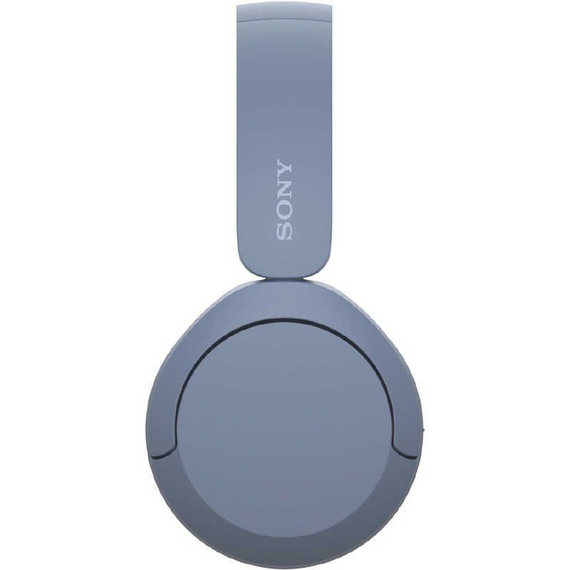 Sony Others /Bluetooth Wh-Ch520 Lz