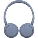 Sony Others /Bluetooth Wh-Ch520 Lz