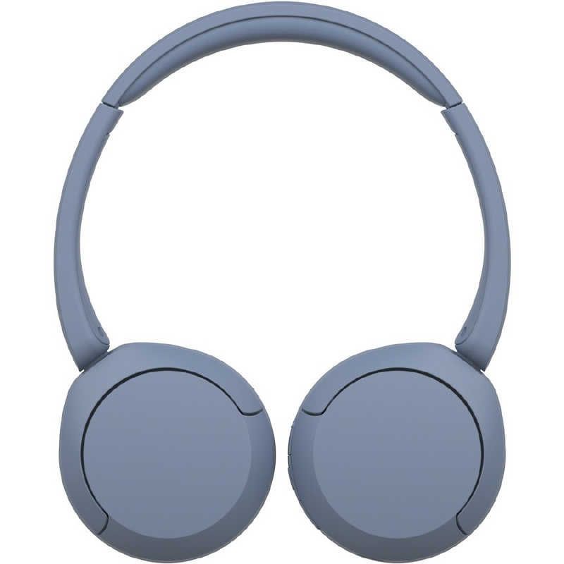 Sony Others /Bluetooth Wh-Ch520 Lz