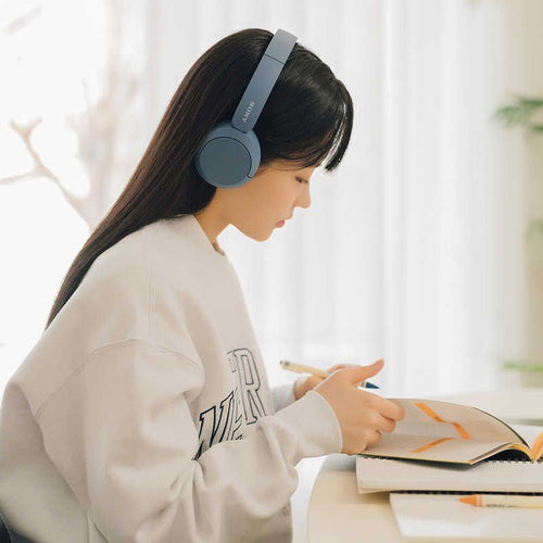 Sony Others /Bluetooth Wh-Ch520 Lz