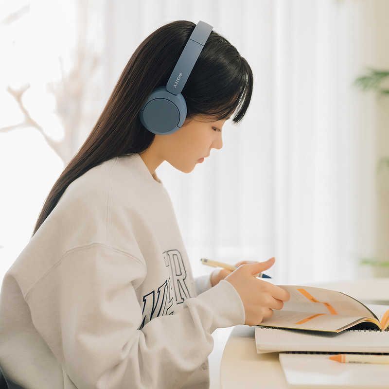 Sony Others /Bluetooth Wh-Ch520 Lz