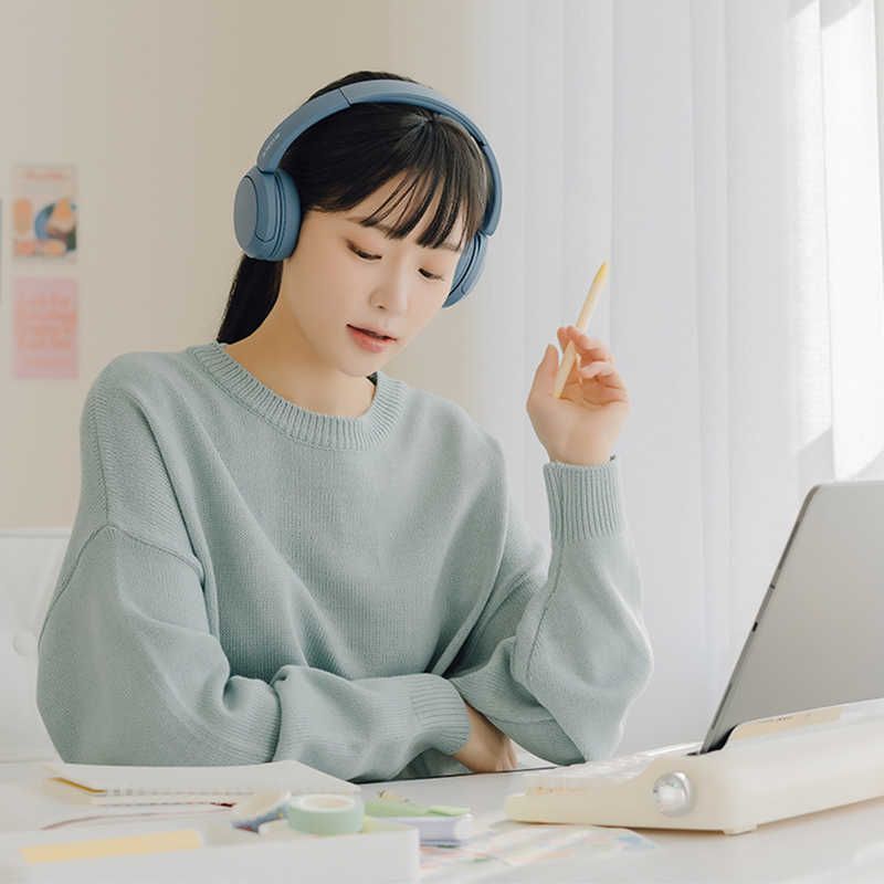 Sony Others /Bluetooth Wh-Ch520 Lz