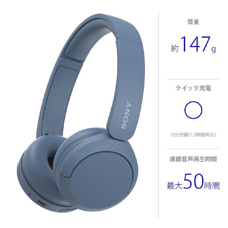 Sony Others /Bluetooth Wh-Ch520 Lz