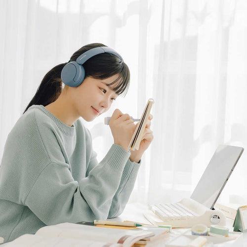 Sony Others /Bluetooth Wh-Ch520 Lz