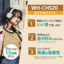 Sony Others /Bluetooth Wh-Ch520 Lz