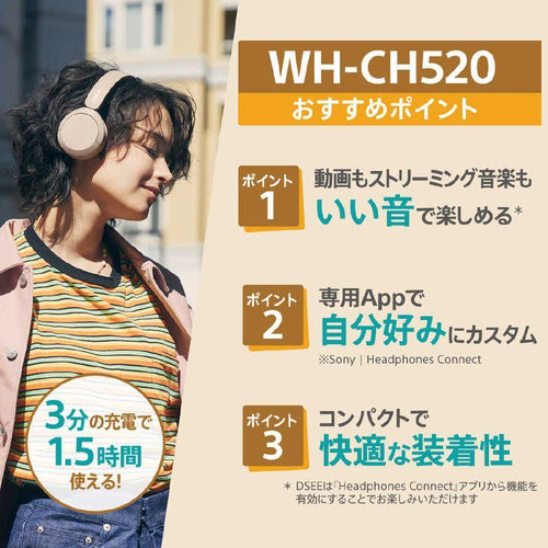 Sony Others /Bluetooth Wh-Ch520 Lz