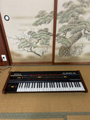 Roland Others Juno-6