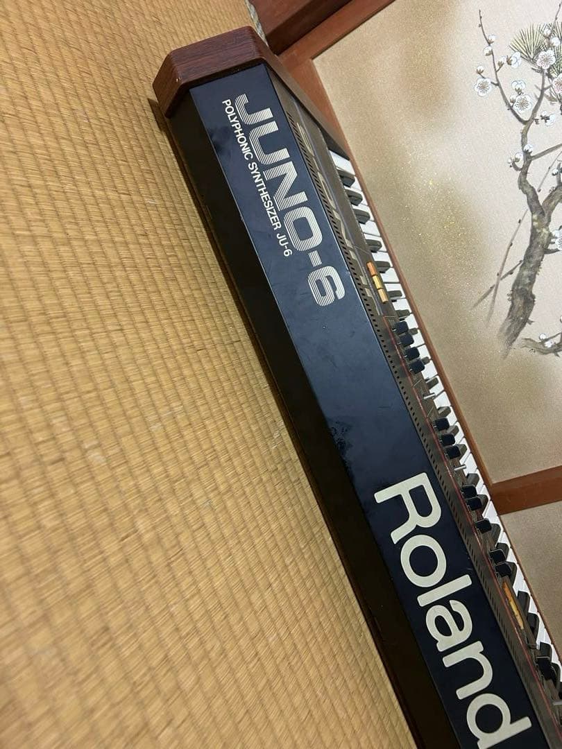 Roland Others Juno-6
