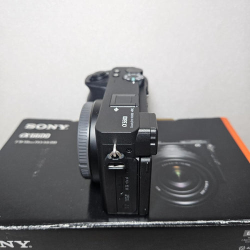 Sony Mirrorless Interchangeable Lens Cameras Ilce-6600M