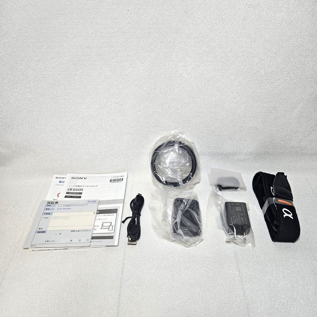 Sony Mirrorless Interchangeable Lens Cameras Ilce-6600M