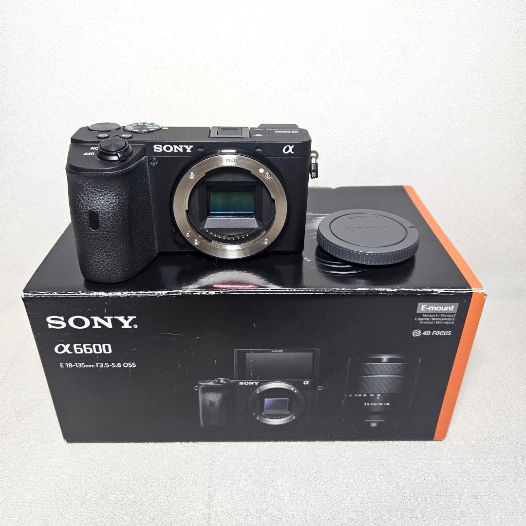 Sony Mirrorless Interchangeable Lens Cameras Ilce-6600M