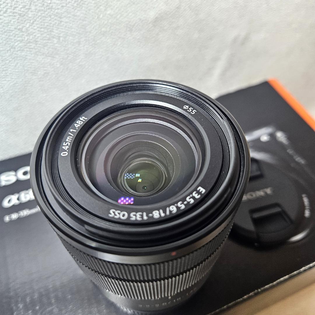 Sony Mirrorless Interchangeable Lens Cameras Ilce-6600M