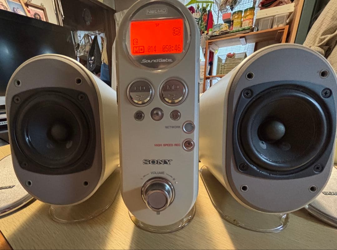 Sony Mini -Component Soundgate Lam-Z10