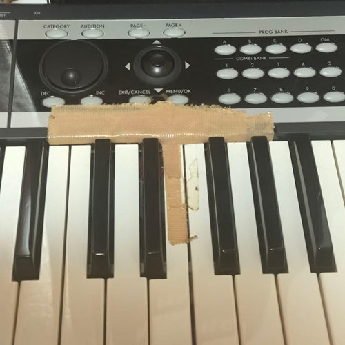 Korg Keyboards Digital Pianos X50