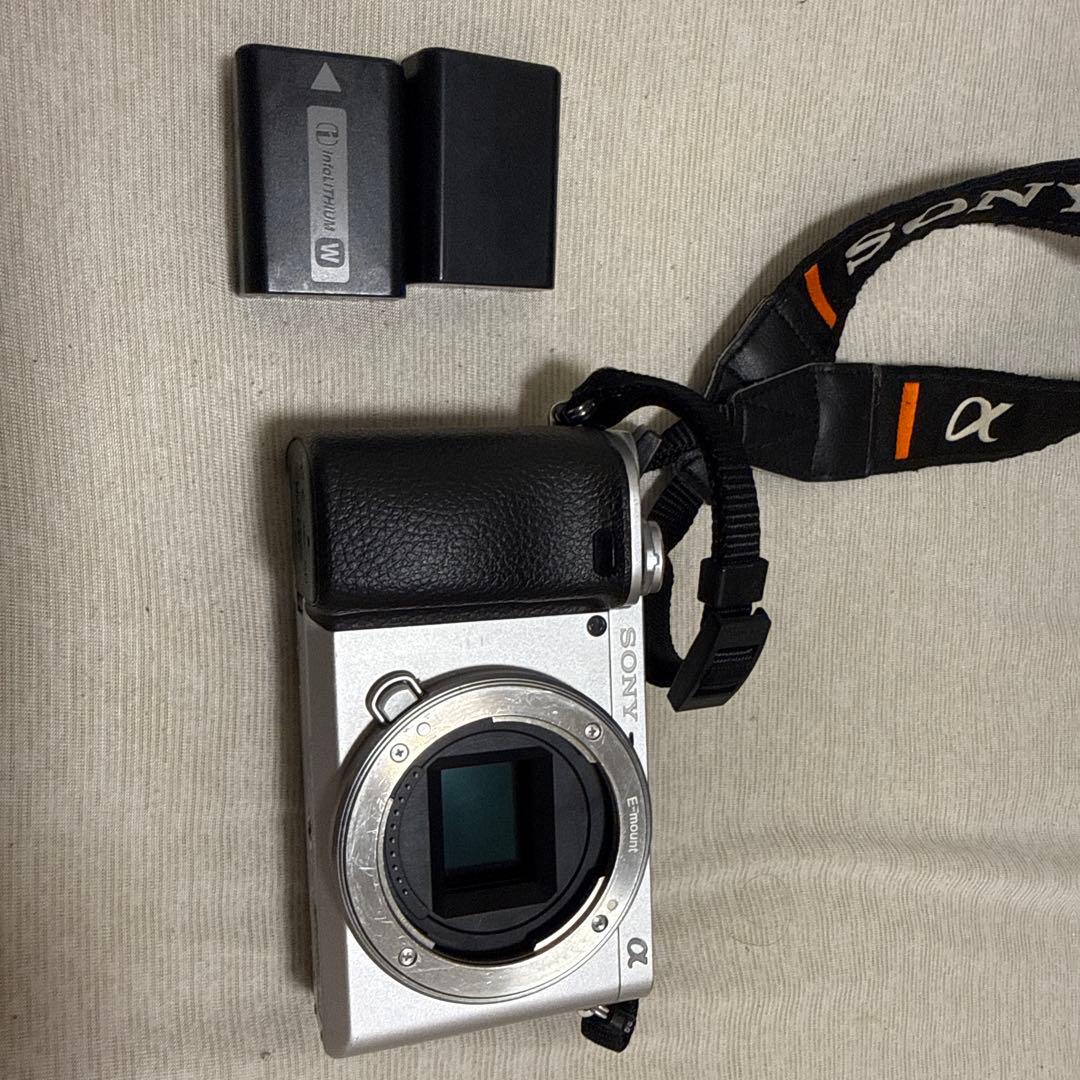 Sony Mirrorless Interchangeable Lens Cameras