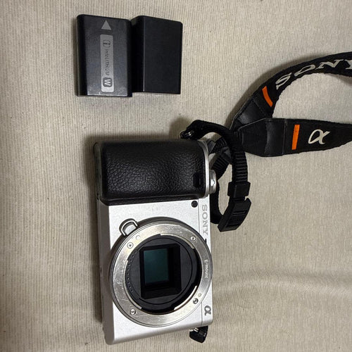 Sony Mirrorless Interchangeable Lens Cameras