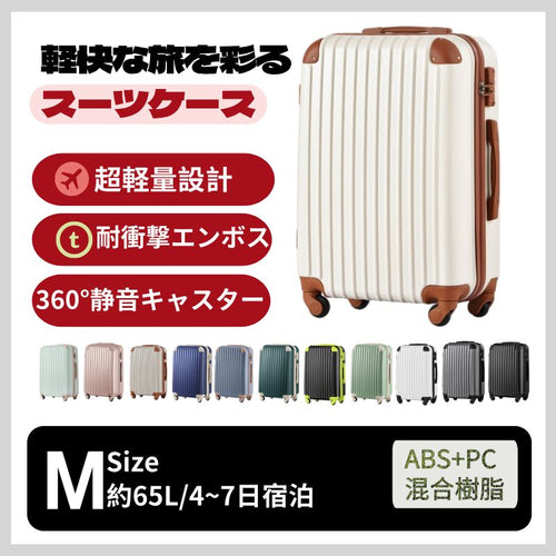 Carry Case M Tsa 4 -7 1