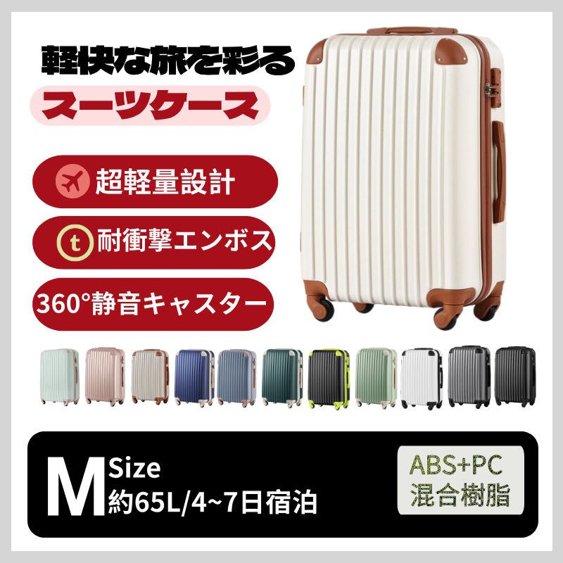 Carry Case M Tsa 4 -7 1