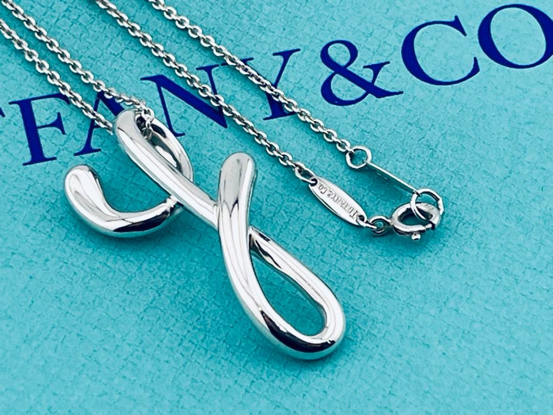 Tiffany Necklace D025 N