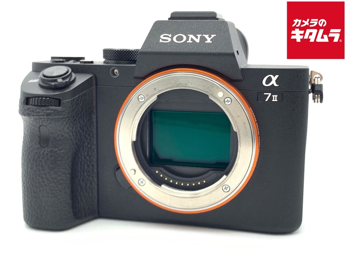 Mirrorless Interchangeable Lips 7Ii [Ilce-7M2]