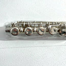 Yamaha Flutes Yfl-221