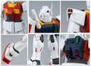 Premium Bandai Mg (Master Grade) Ii 2