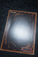 Yu -Gi -Oh! Ocg Duel Monsters Xxi-The World