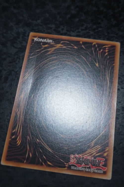 Yu -Gi -Oh! Ocg Duel Monsters Xxi-The World