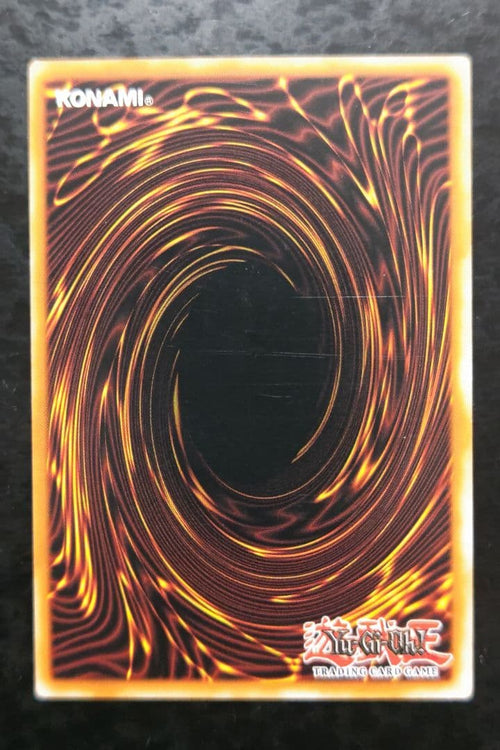 Yu -Gi -Oh! Ocg Duel Monsters Xxi-The World