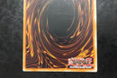 Yu -Gi -Oh! Ocg Duel Monsters Xxi-The World