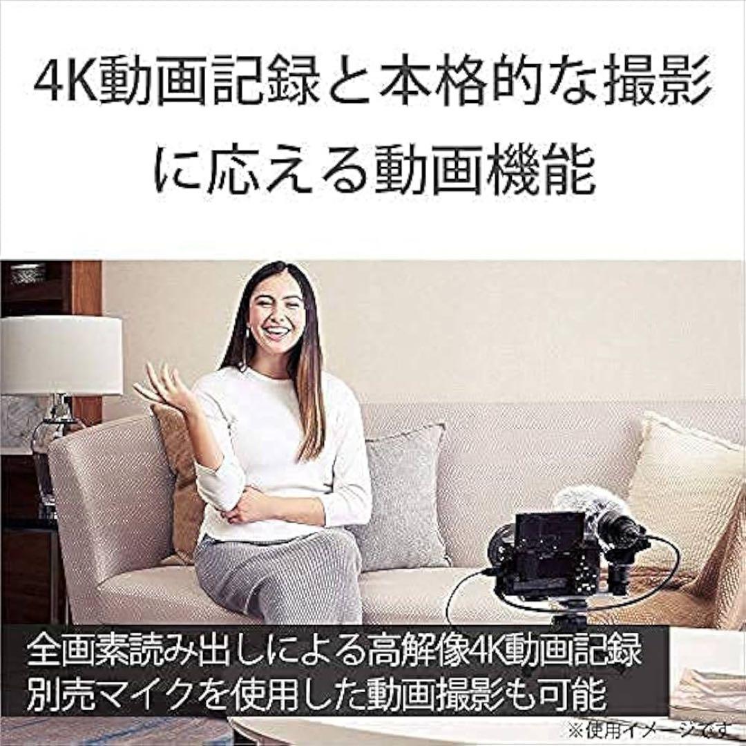 Sony Mirrorless Interchangeable Lens Cameras Aps-C 6400