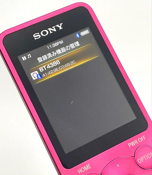 Sony Digital Audio Players Walkman Nw-S13 4Gb
