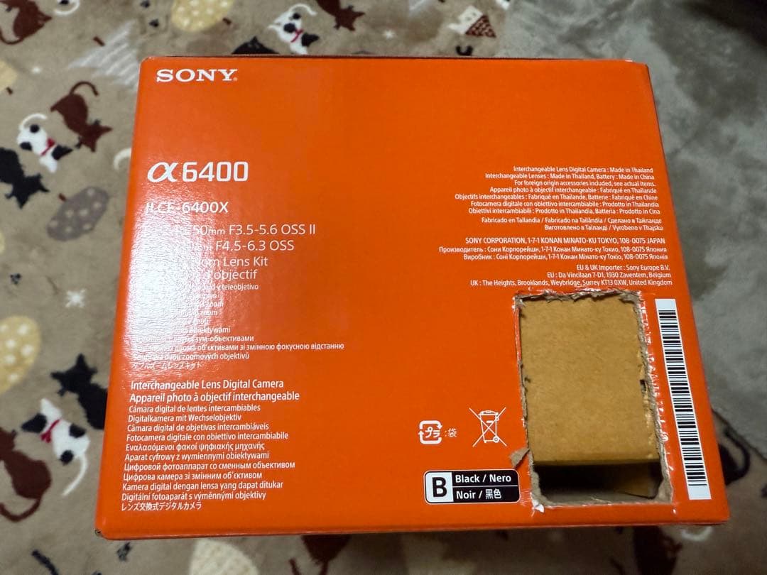 Sony Mirrorless Interchangeable Lips 6400