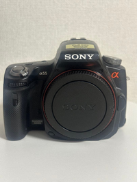 Sony Mirrorless Interchangeable Lips 55