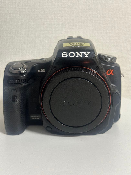 Sony Mirrorless Interchangeable Lips 55