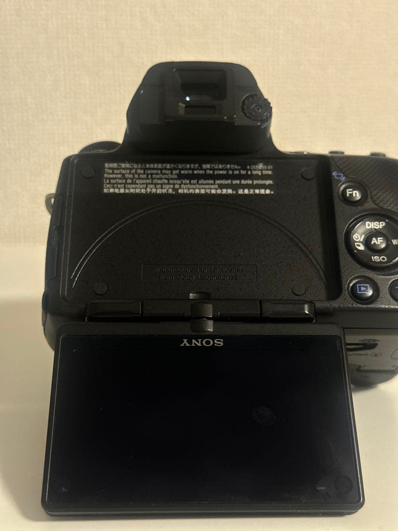 Sony Mirrorless Interchangeable Lips 55