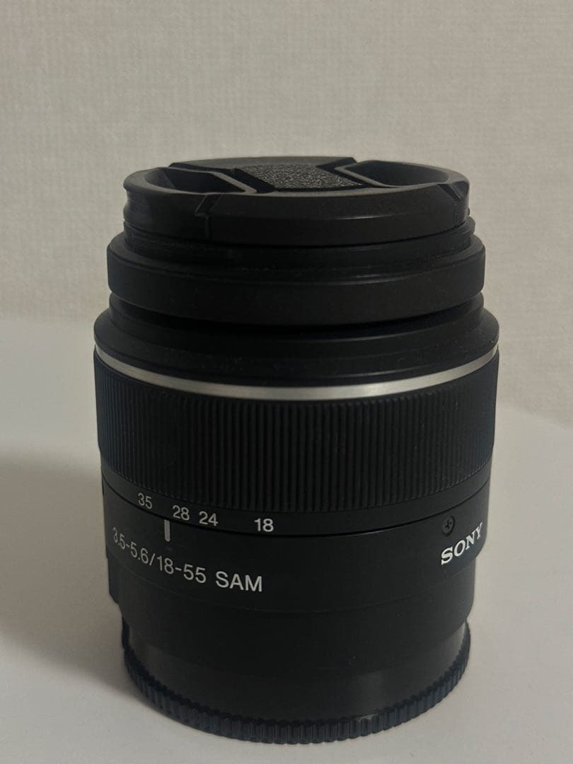 Sony Mirrorless Interchangeable Lips 55