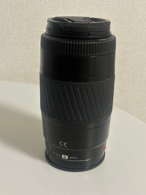 Sony Mirrorless Interchangeable Lips 55