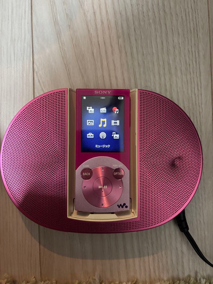 Sony Digital Audio Player Walkman Nw-S644
