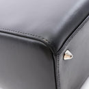 Christian Dior Handbag Lady 2Way Used B