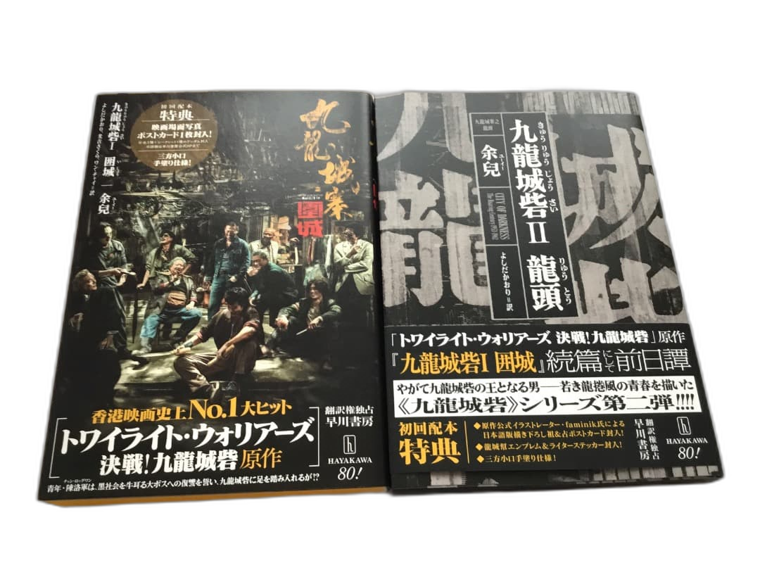 Literature Novel