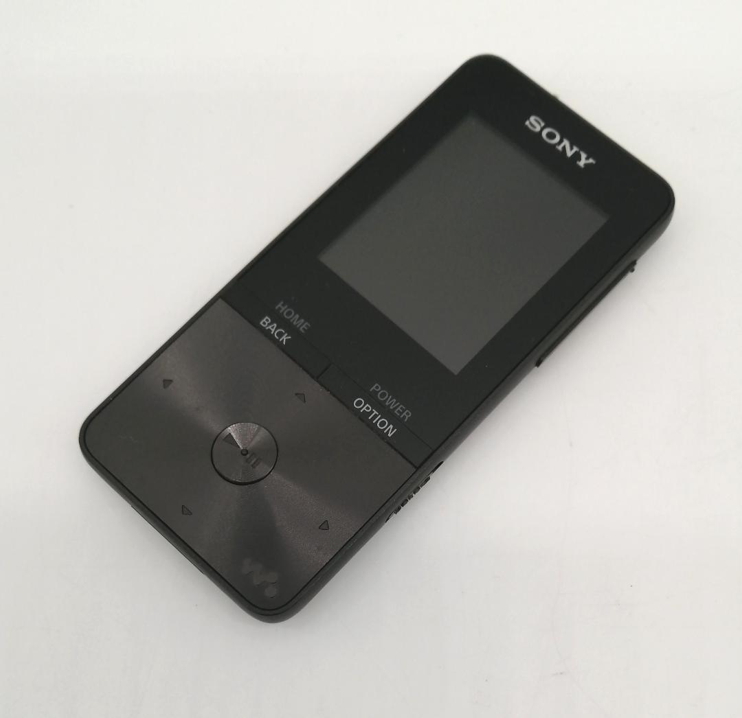 Digital Audio Player S 4Gb Nw-S313K